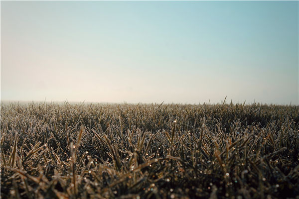 土壤养分检测仪器 土壤养分检测仪器