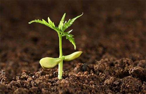 使用测土仪器有效降低农业施肥成本