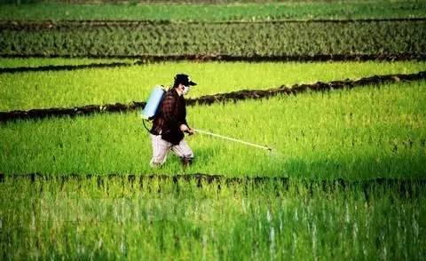 高智能测土施肥仪提高肥料利用率