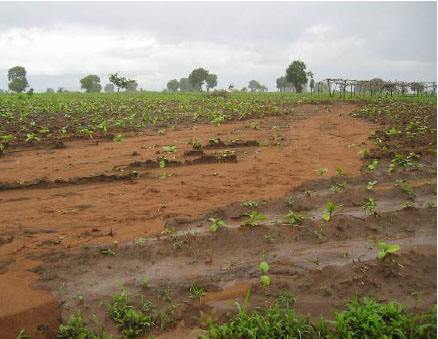 高智能土壤养分检测仪快速改善土壤土质