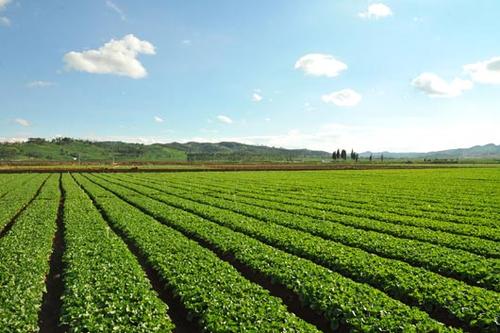 土壤肥料养分速测仪