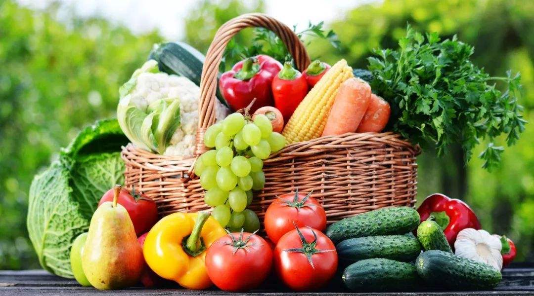 土壤肥力检测仪