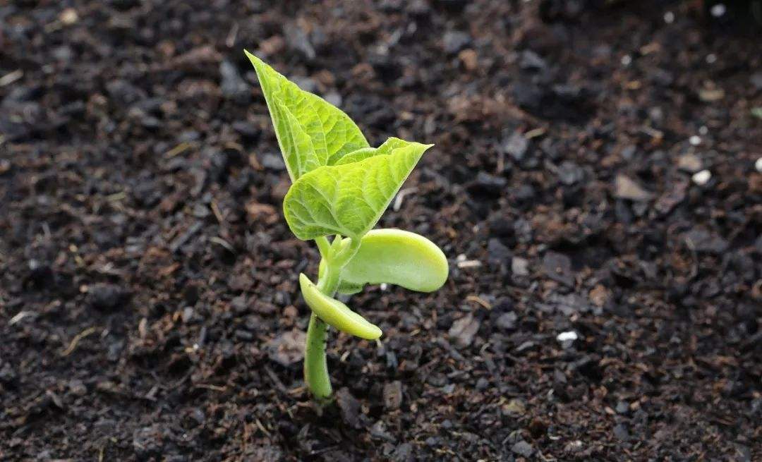 测土配方施肥仪器