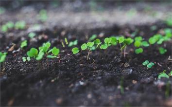 土壤养分检测仪器
