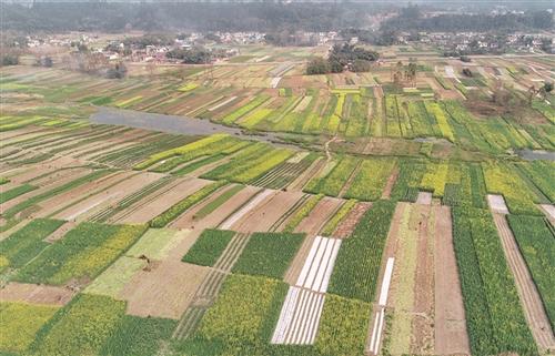 测土施肥专用仪器