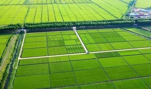 肥料含量检测仪