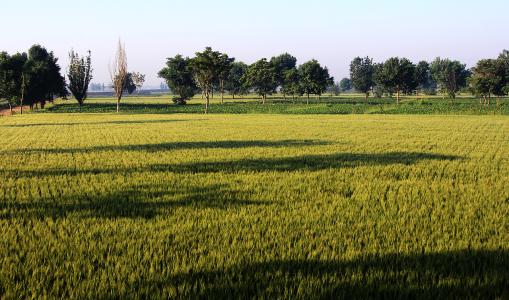 土壤肥料植株快速检测仪