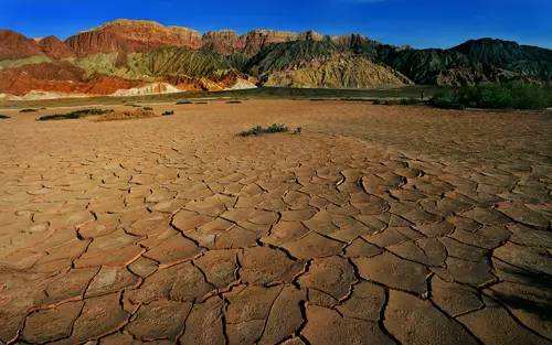 土壤植株肥料养分速测仪