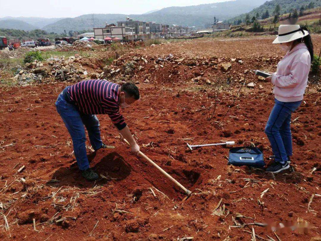 多点土壤水分温度检测仪